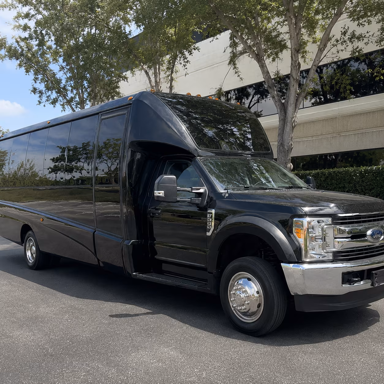 Group beside a Mercedes Sprinter limo in Anaheim