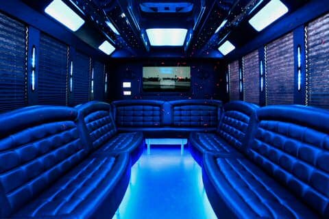Anaheim 36 Passenger Party Bus Interior
