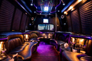 18 people party bus rental Anaheim